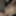 Nude Photoshoot (smooth shaved)