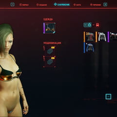 Cyberpunk 2077