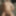 Steamworks Vancouver - Solo - 16 Oct 2024 #4