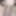 GIF Gallery