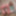 JOEYSTRANSFEETGIRLS:キャシーカミングスライドコック