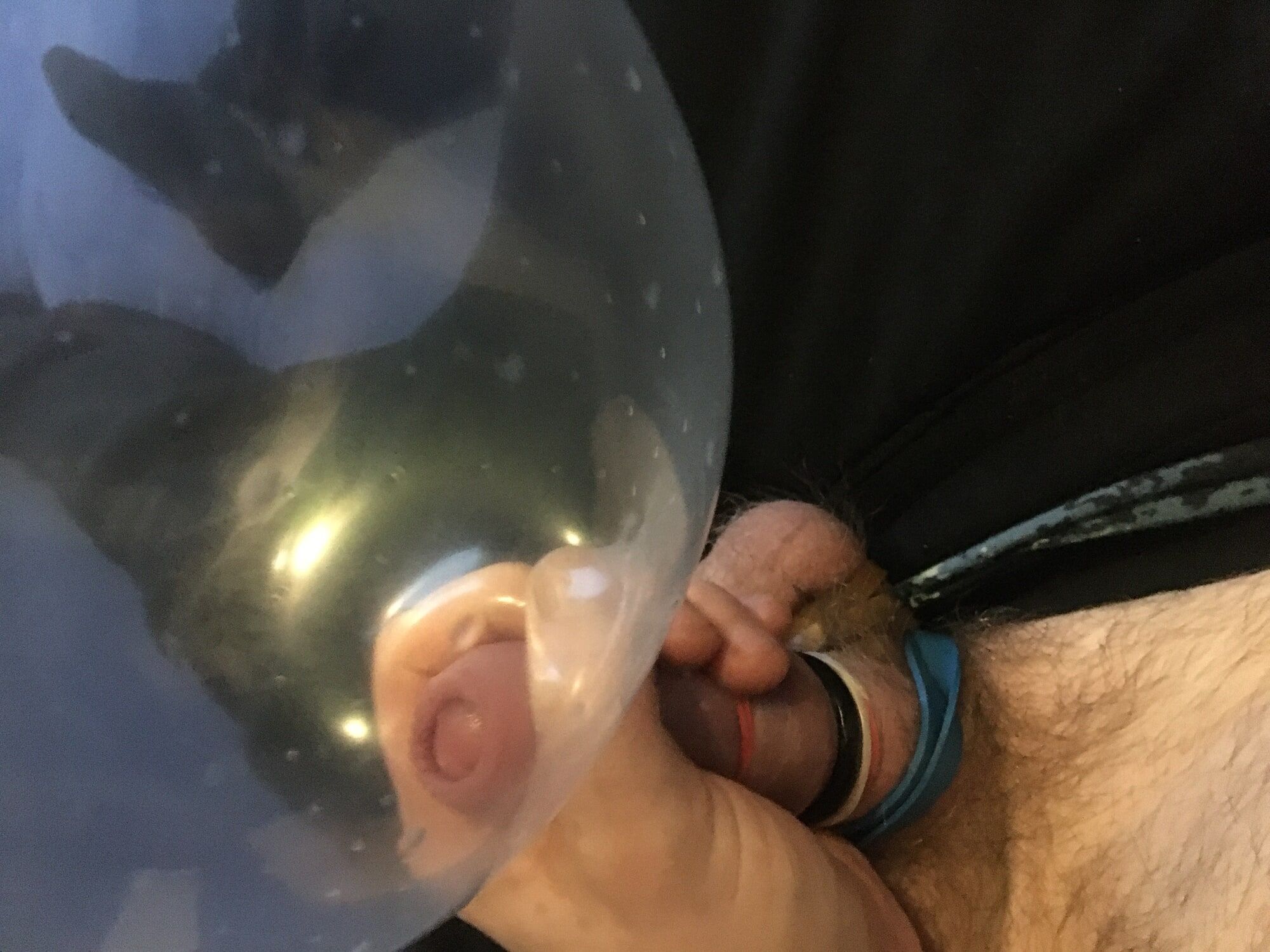 Haired Dick And Balls With Rubber Bands Condom Ballon  fuck #60