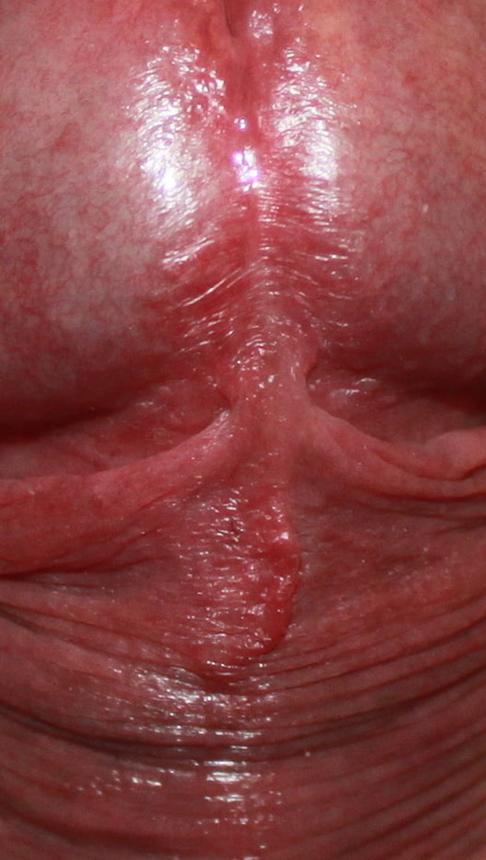 Close up dick #48