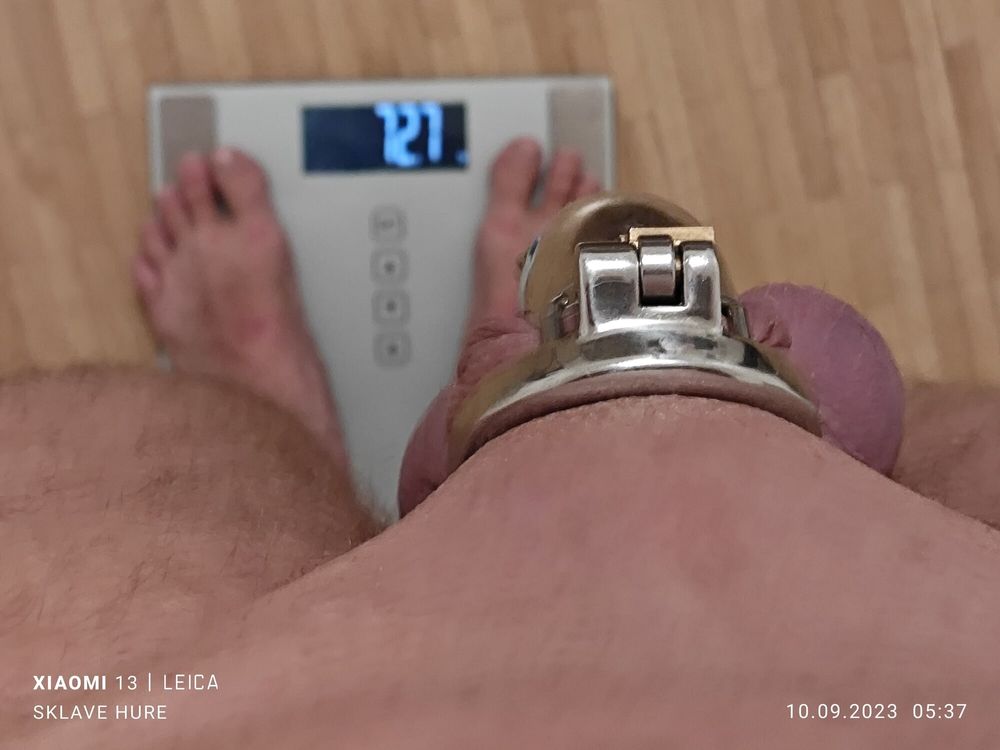 Weighing, Cagecheck, plugcheck September 10/2023 #16