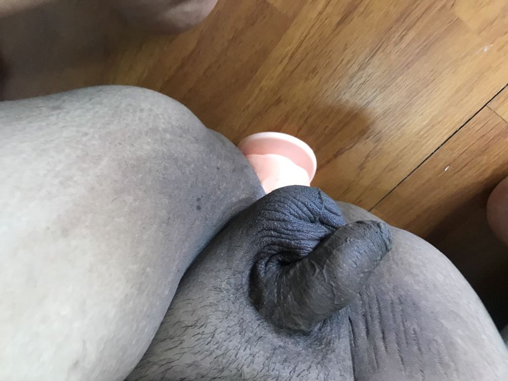 Amateur anal  #27