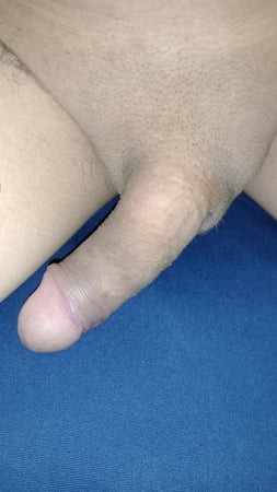 pene 