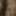 Ücretsiz Ewka Fotoğrafları
