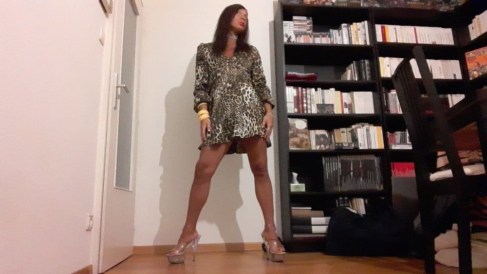 Sissy Tygra in leopard dress on 2019 octobre. #19