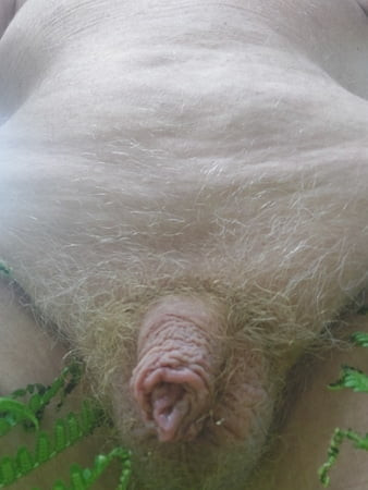 Small dick in the garden