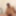 Sitting naked legs together to see small flaccid cok