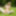 Innocent teen posing in hot nude erotica photo gallery #5