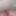 Animations of me stuffing my asshole #6