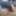 4月のチンコの写真。