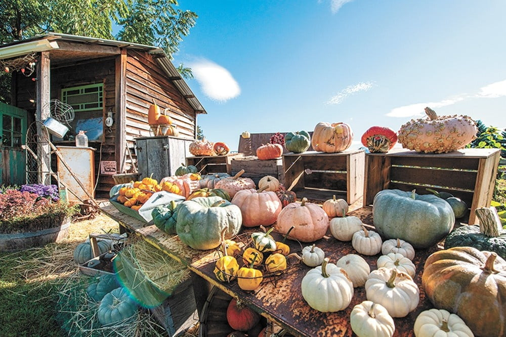 500 Days of My being on XHamster