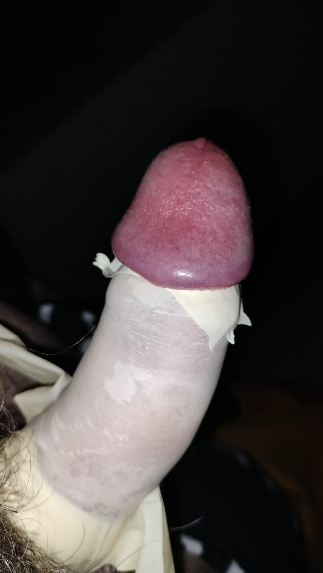 cock harnessed close up  #5