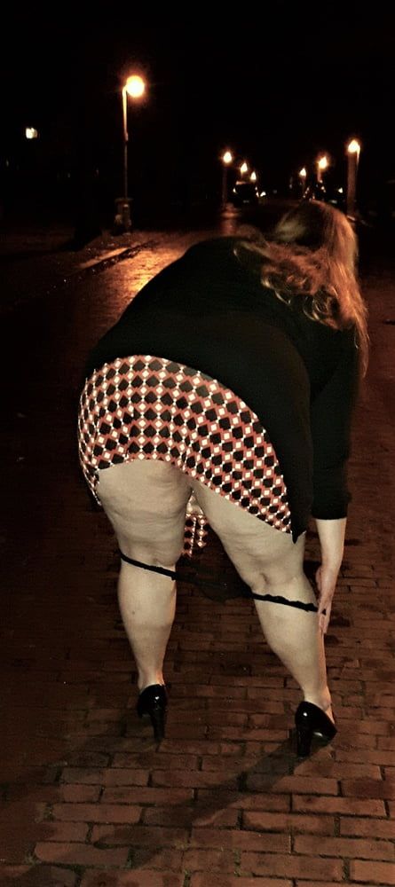 BBW Wife at the Parc #6