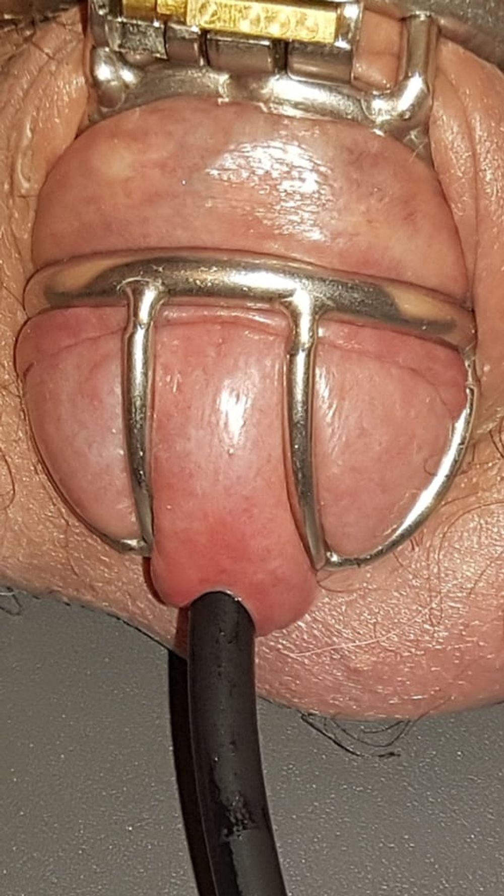 Urethral Insertion #6