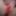 Ücretsiz Jream Evol Fotoğrafları