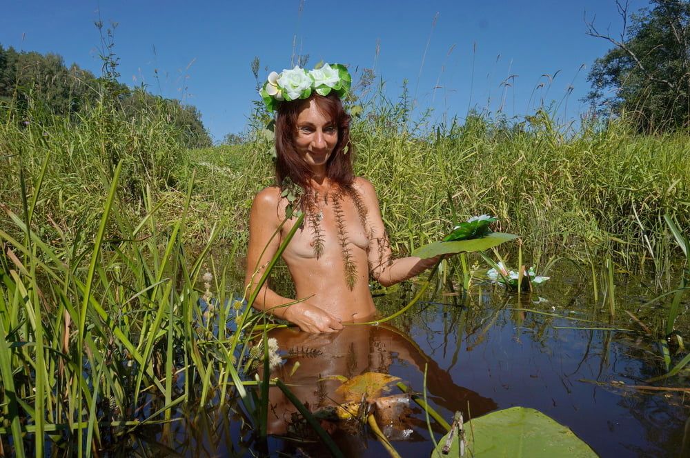 In pond with waterflowers #2