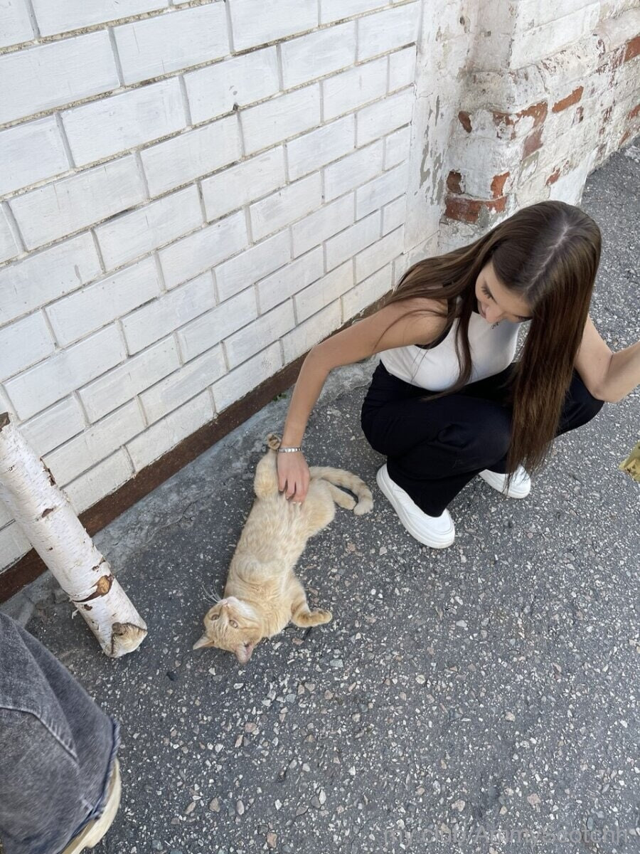 Nova  Free Photos #17