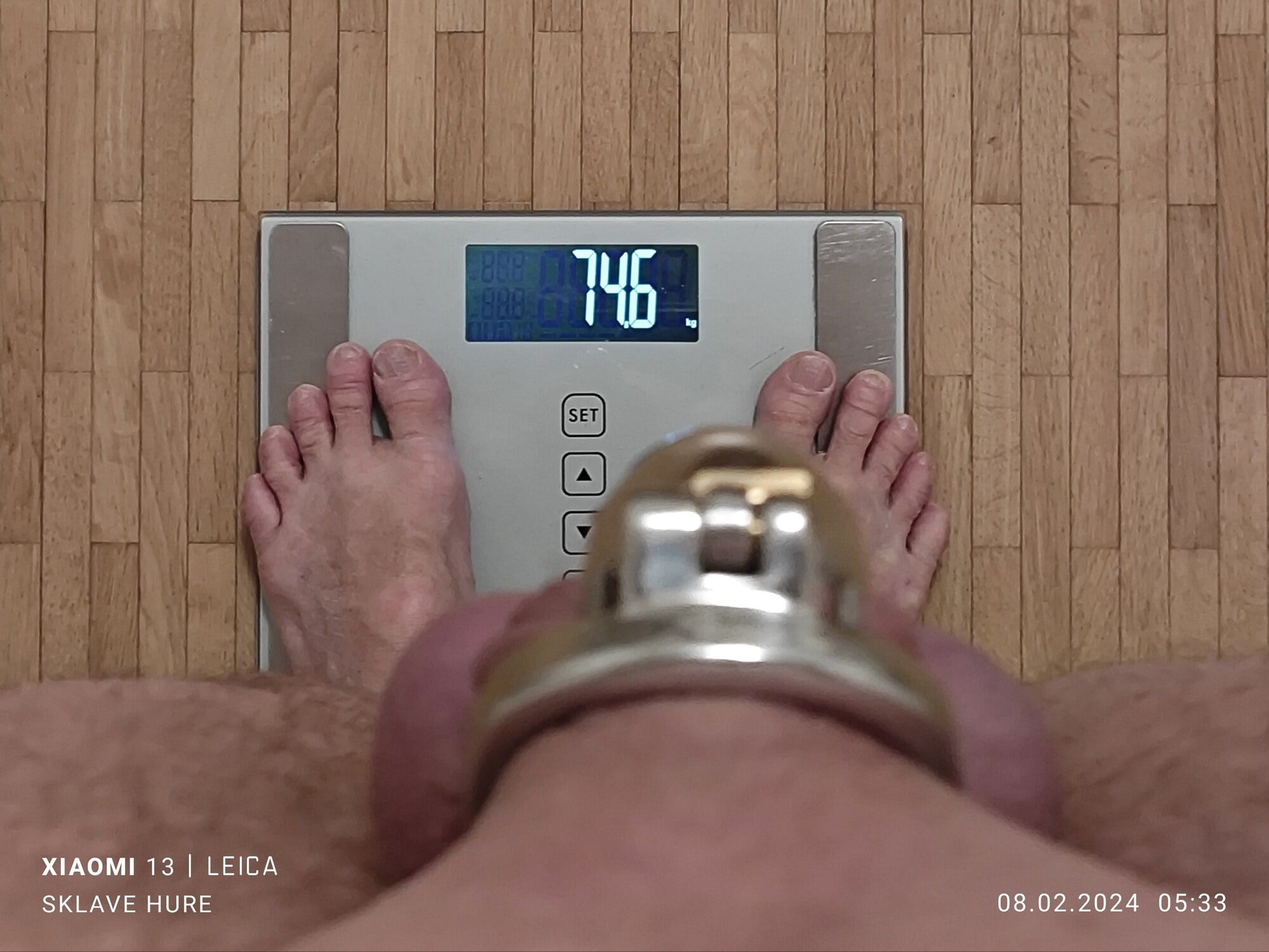 Daily Weighing cagecheck no plug check February 8th, 2024 #15