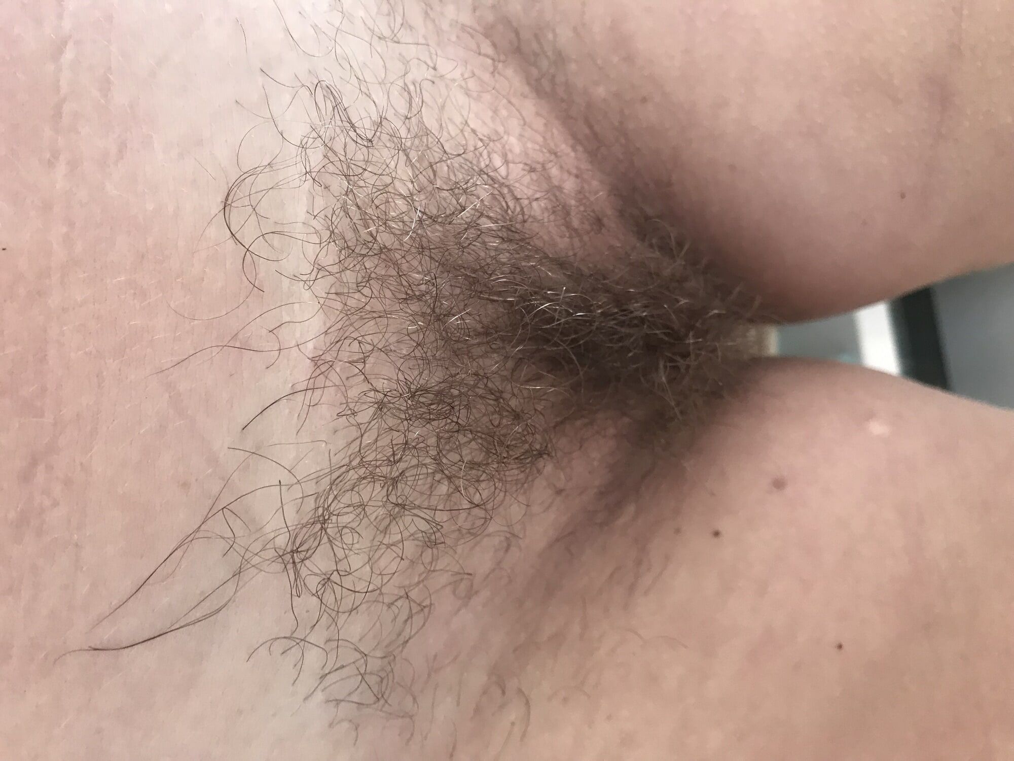 Wife bush over last 18 years, I love her hairy amateur cunt #10