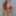 Cumslut forever 21 #10