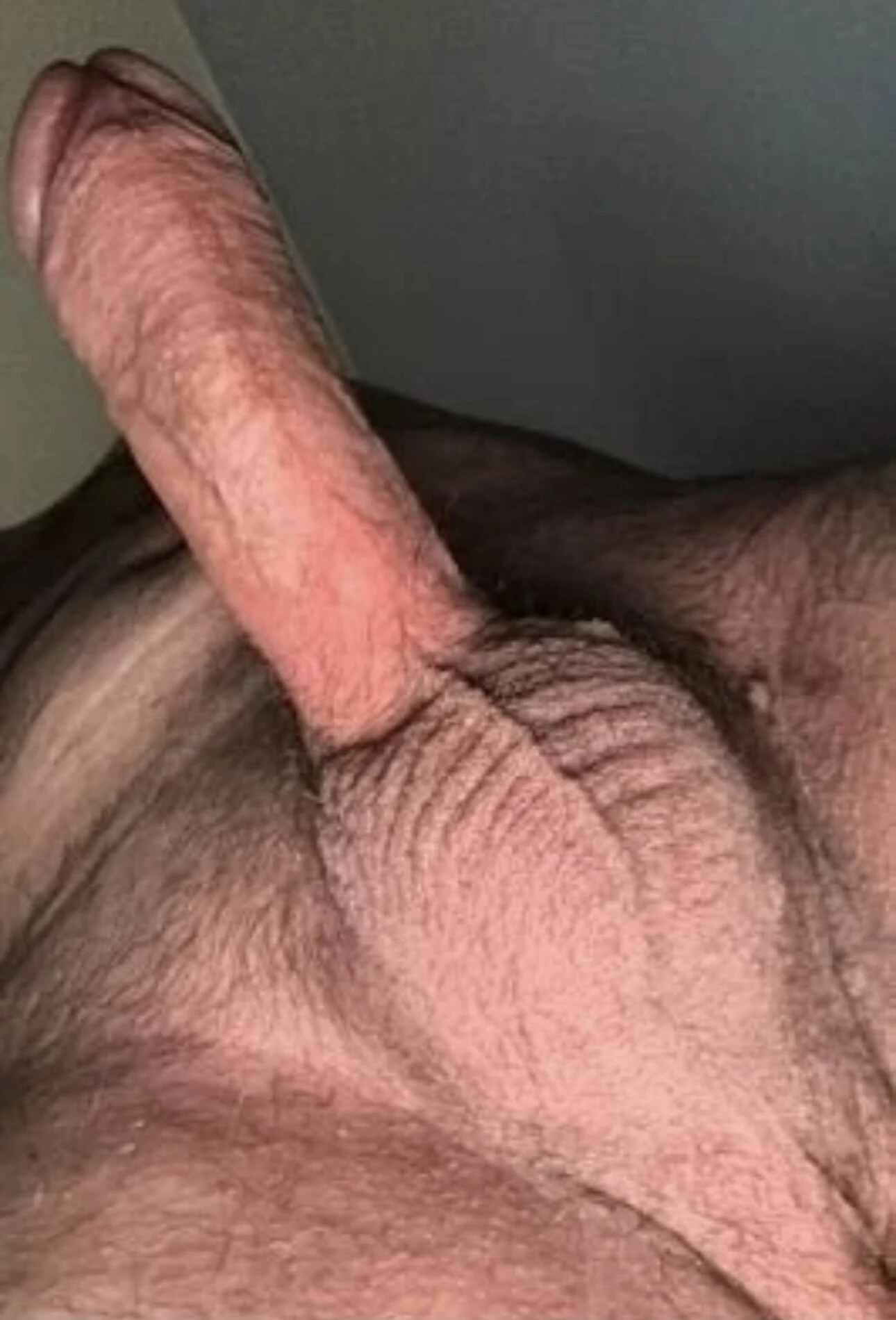 Ma bite