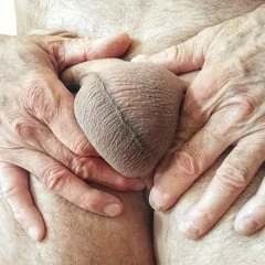 Ass, dick and balls