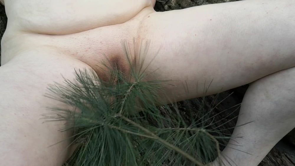 Tit, Ass and Pussy spanking with tree branch #28