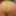 新しいパンティー