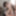 Akemi Kihara :: Non Stop XXX for 180min - CARIBBEANCOM #19