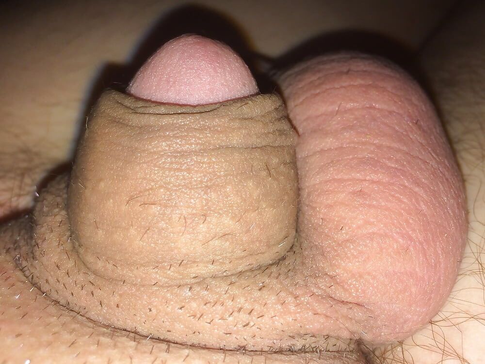 a few pictures of my clitdick with the glans sticking out #8