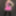 Pink and Black Shiny PVC Basque mini skirt and thigh boots #2