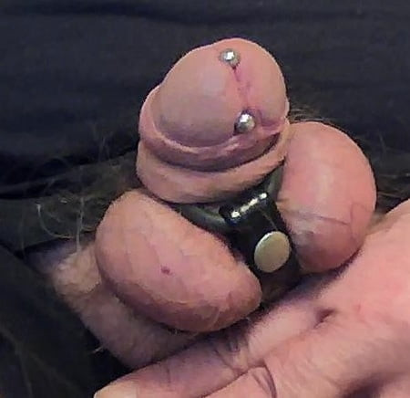 my cock