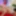 Camilla Creampie and Lily Kink Threesome