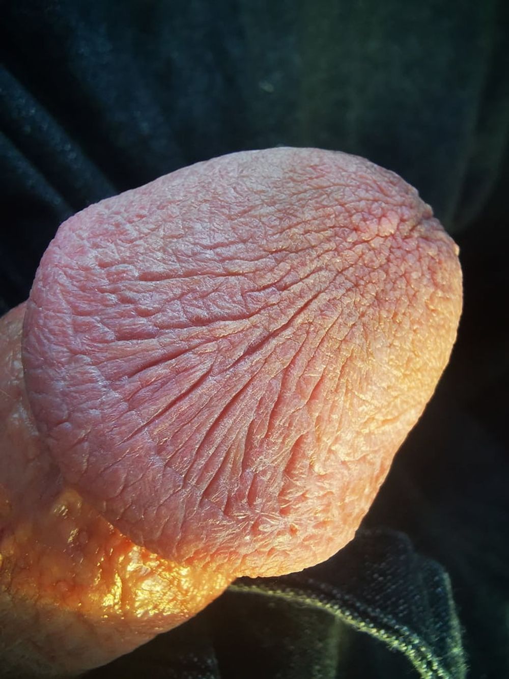 Super macro cock  #15