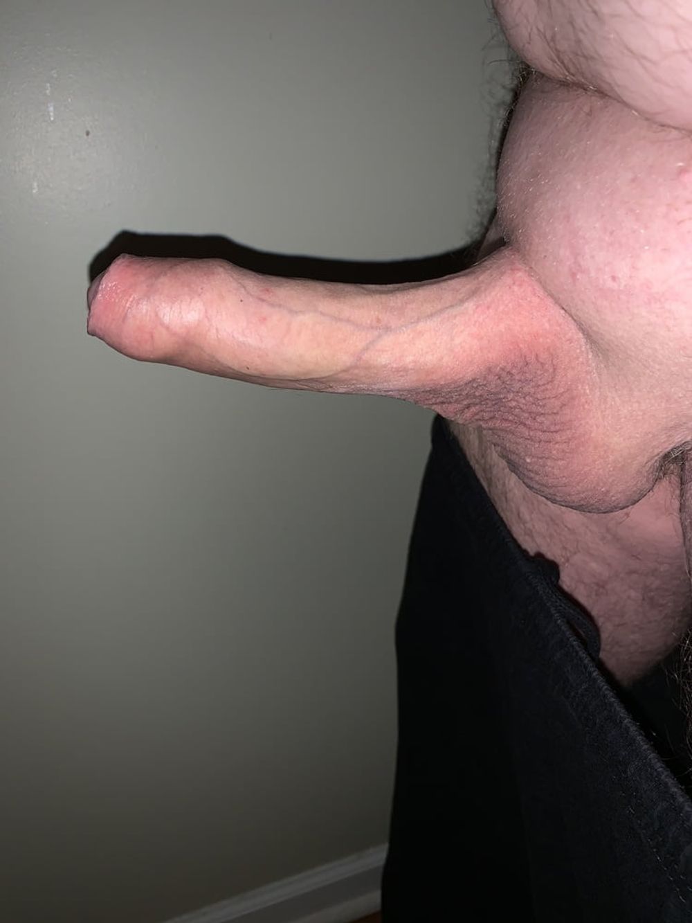 Cock #11