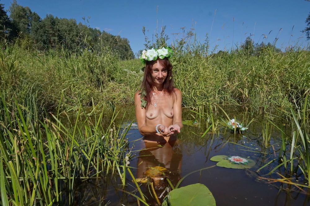 In pond with waterflowers #44