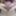 NEW 2020 Pics #17