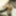 Photo 2016c #10