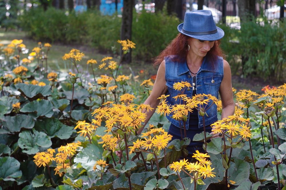 In orange flowers 1