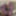 Sissy zieht sich an