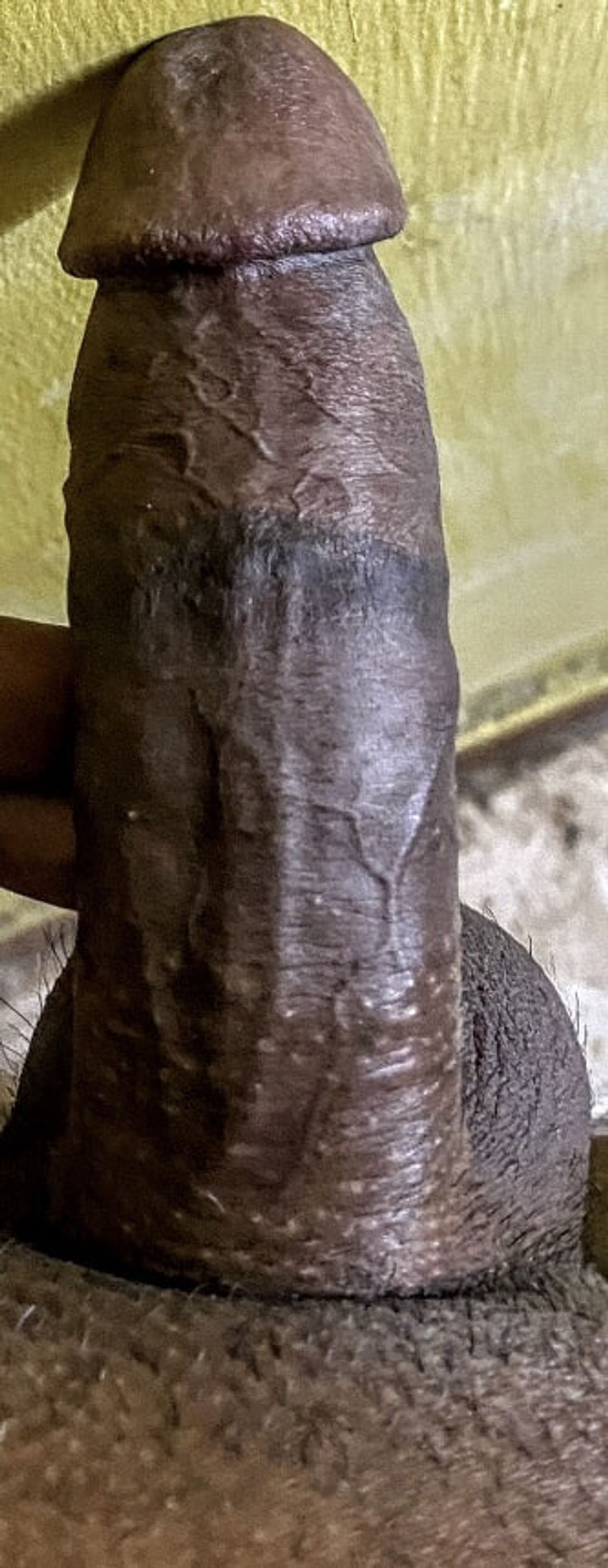 My black dick