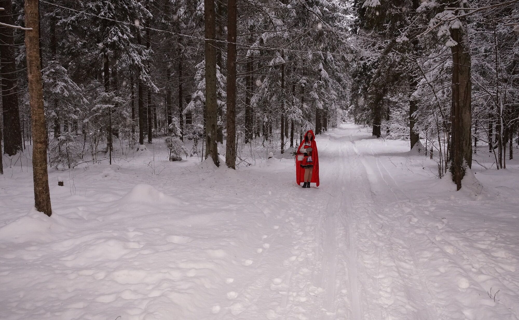 Chapeuzinho Vermelho em floresta profunda