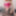 Best friend teases me with her nice ass and pussy #13