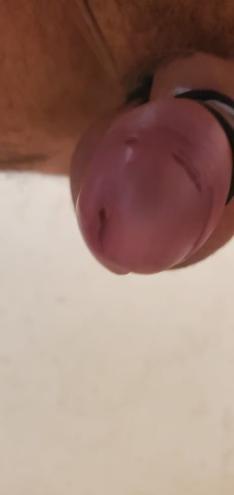 Cock view #5