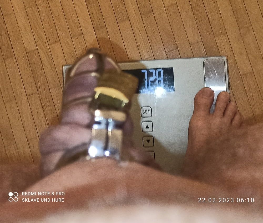 Daily cagecheck, mandatory weighing 22.02.2023 #5