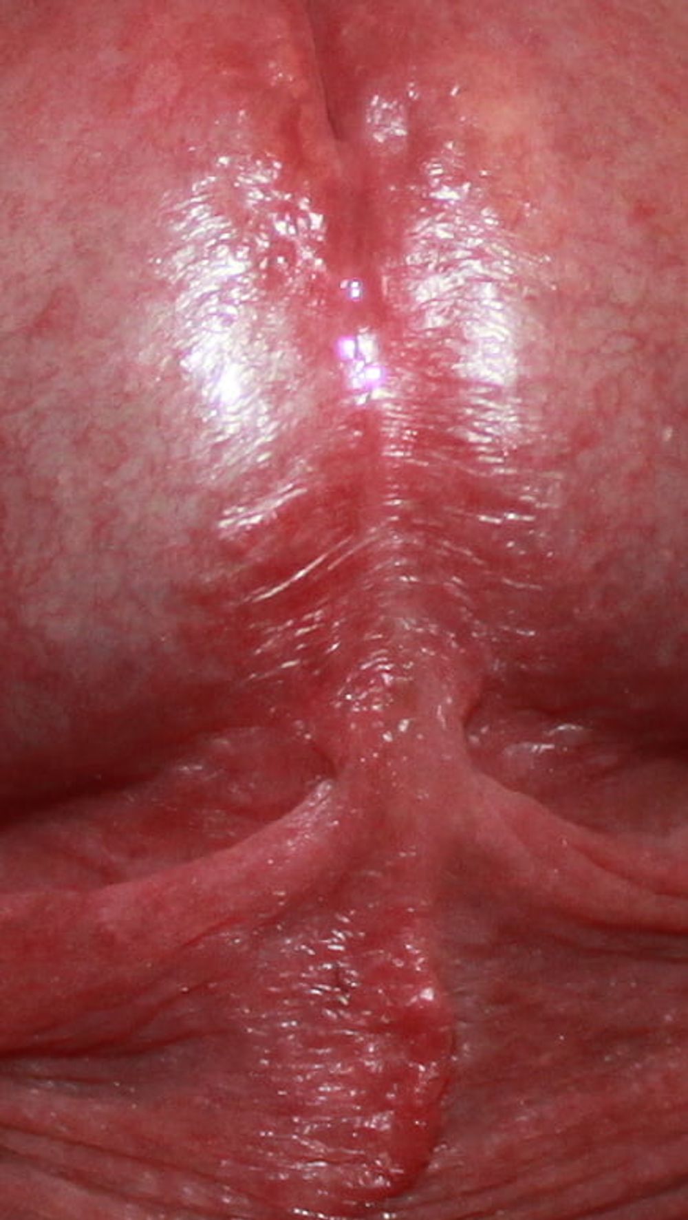 Close up dick #46