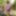 Amateur crossdresser Kellycd2022 sexy milf in tan pantyhose 